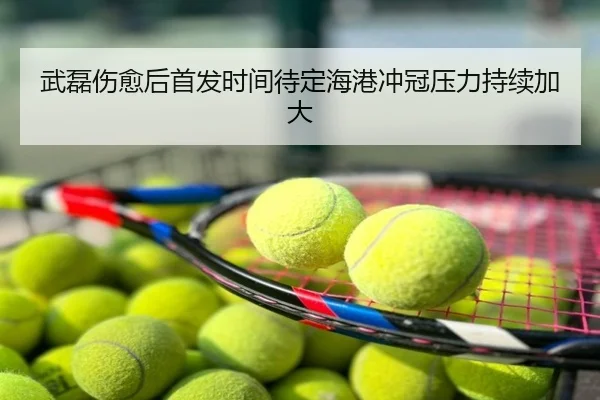 武磊伤愈后首发时间待定海港冲冠压力持续加大